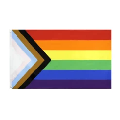 Pride Progress Regenboog Vlag LGBT Queer 90 X 150 Cm