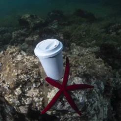 Koffiebeker To Go 450 Ml 13 Koffiebeker To Go 450 Ml -Festival Supply Winkel c6d0 b8df 4165 9b3f ec9cf9a49d74